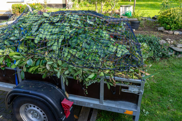 Professional Junk Removal Services in Biltmore Forest, NC